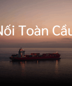 Gói Cước Starlink Trên Biển 50GB – Internet Tốc Độ Cao Cho Tàu Thuyền